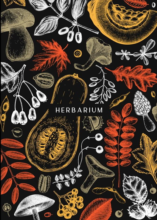 Hand sketched autumn card or invitation design. Elegant botanical template with autumn leaves, berries, seeds, nuts, mushroom sketches. Perfect for flyers, menu, label, packaging. 